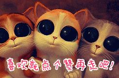 造车造飞机造赛车,造车造飞机