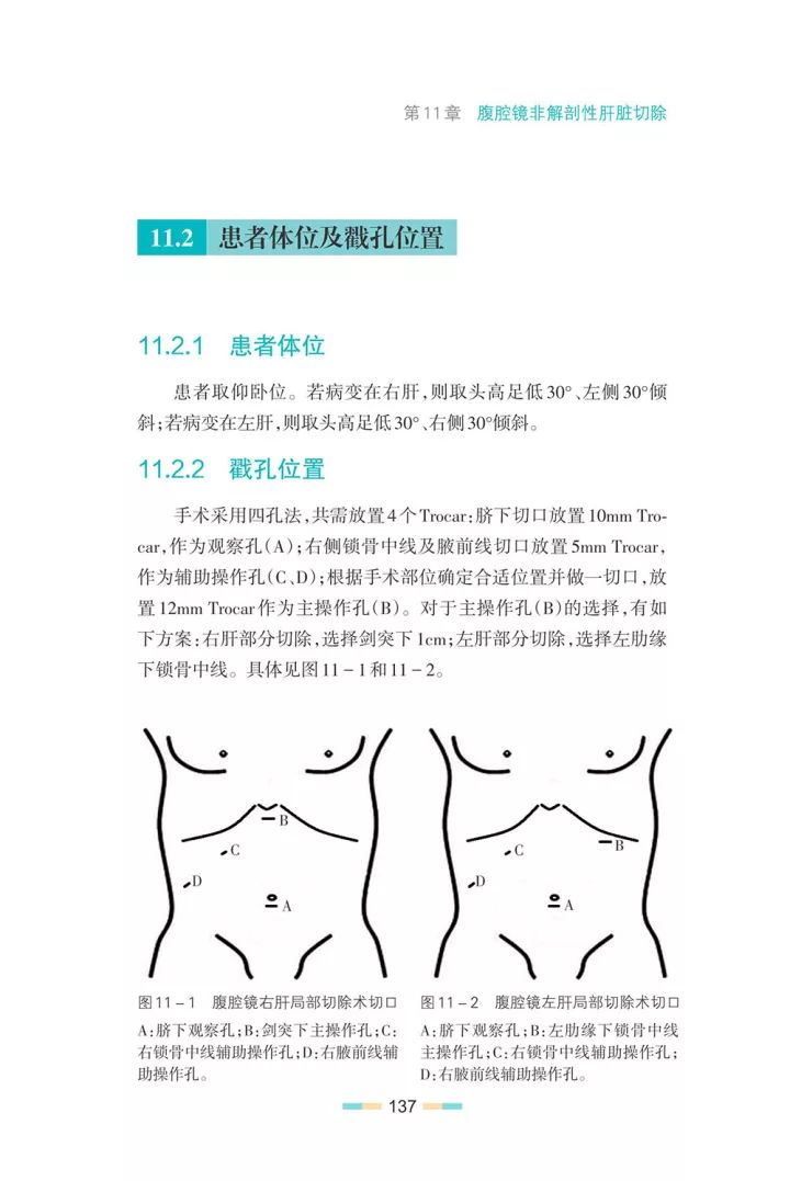 实用肝脾外科学书籍,实用肝脏外科学书籍