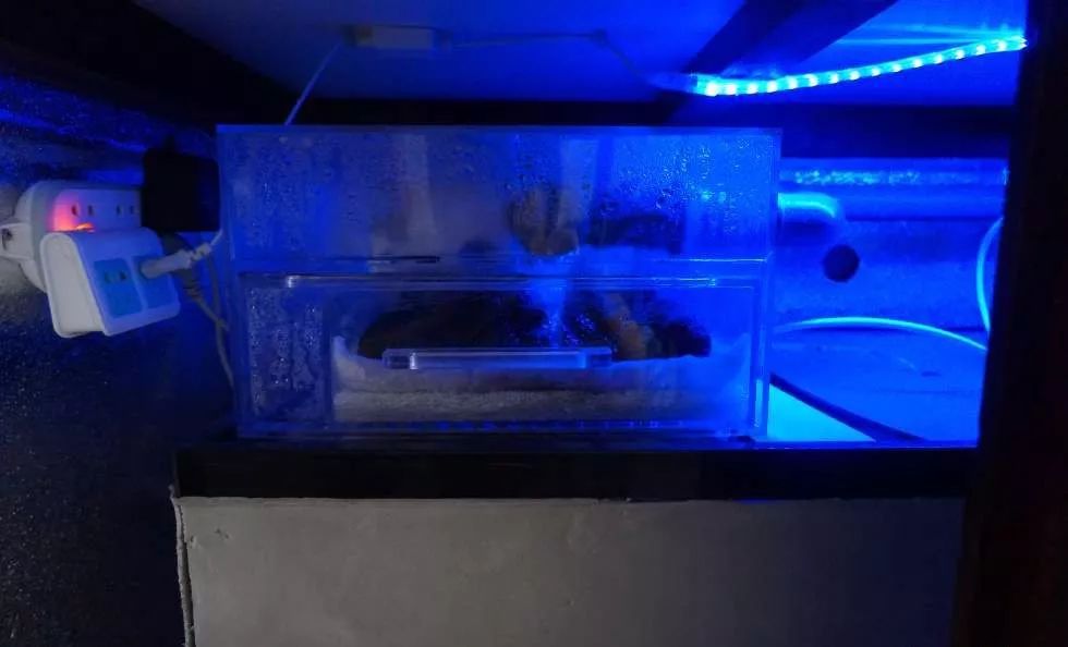 玩得细致、专业，出手不凡！