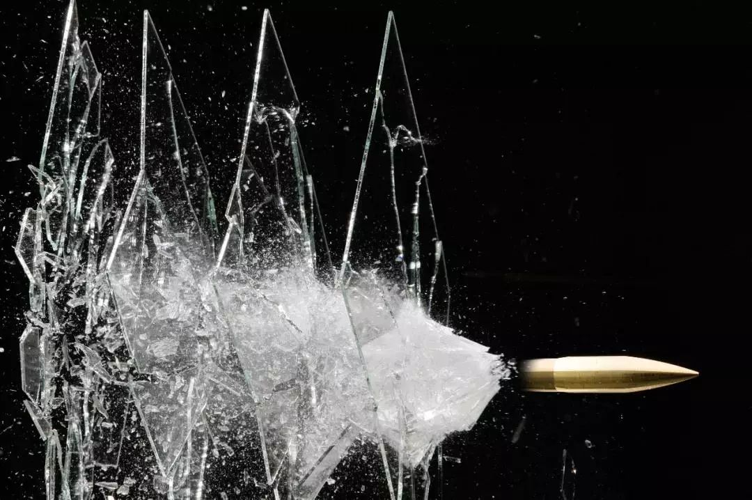 鸿雁知天下最新新闻,鸿雁知天下视频