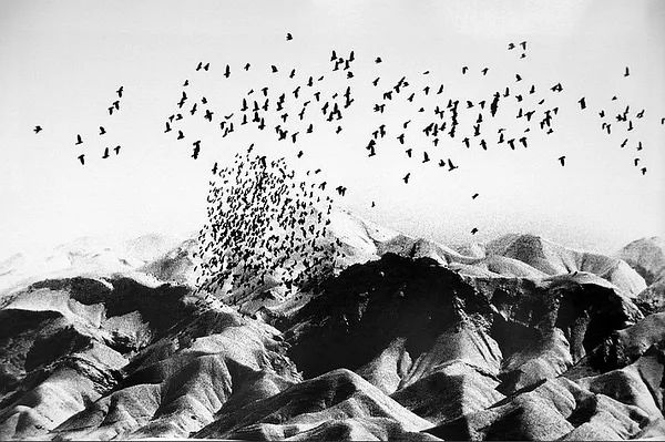 一个陌生女人的来信话剧完整版,一个陌生女人的来信