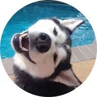 甜到爆的恋爱日常手绘,手绘情侣日常恋爱日记