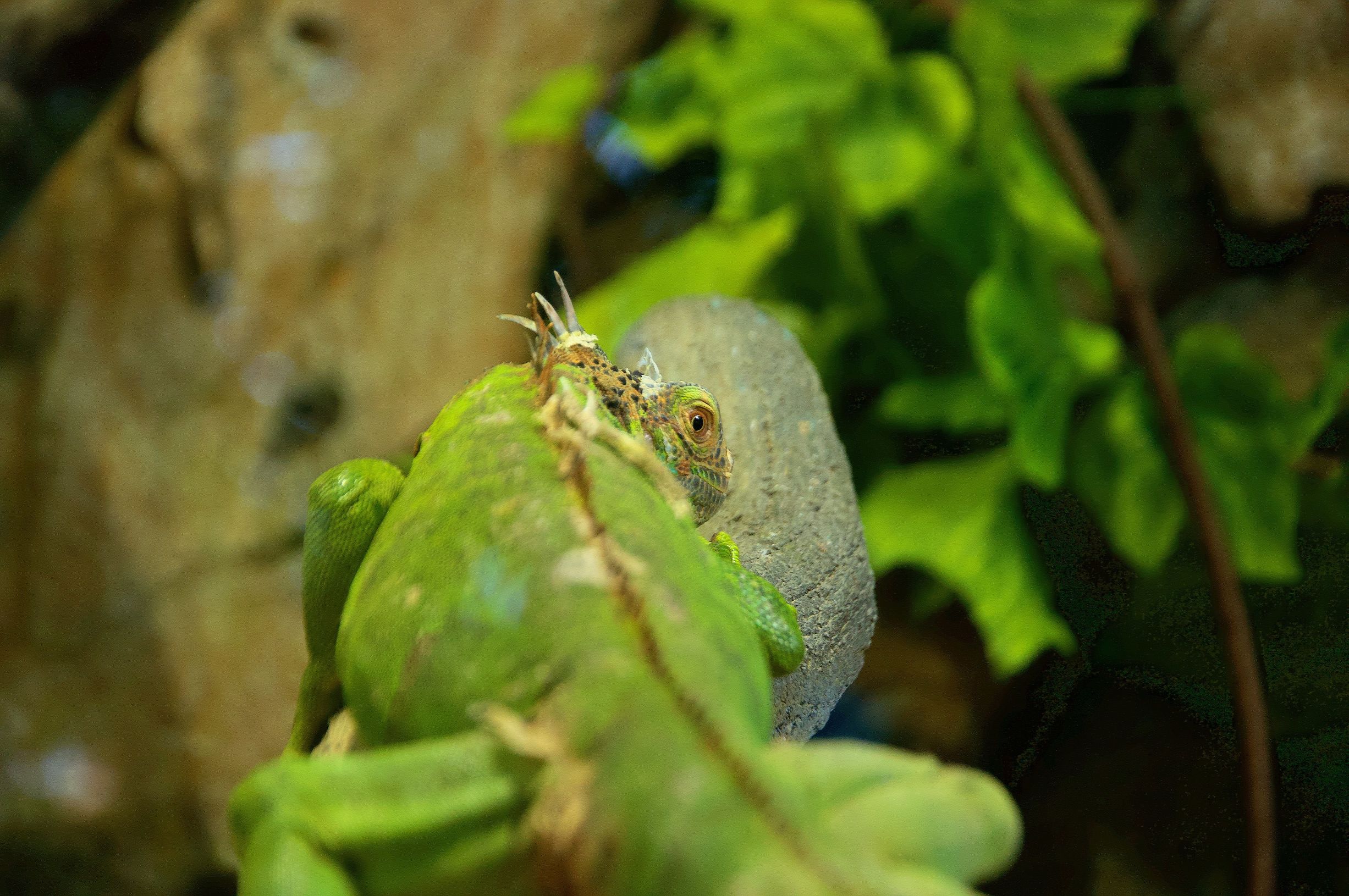 三亚度假之旅完美结束,三亚度假巨无霸五天五夜玩不腻