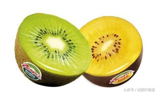 进口种子价格一览表,进口种子按粒卖