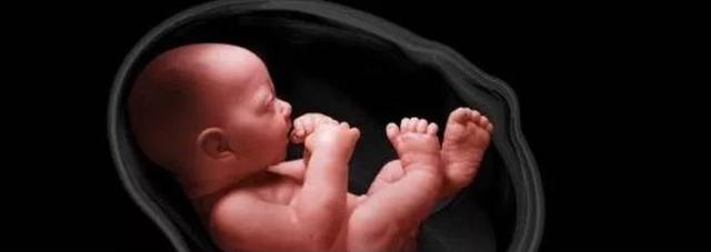 载营魄抱一载的读音,载魄抱一全文翻译