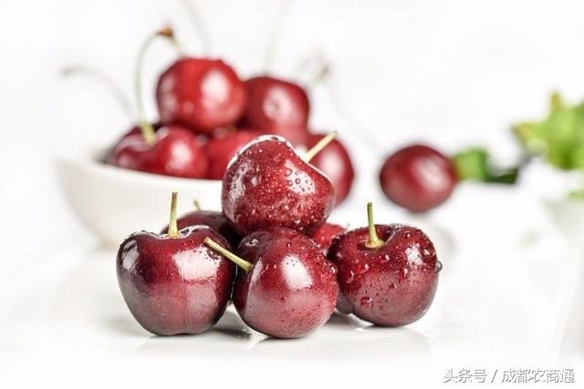 进口种子价格一览表,进口种子按粒卖