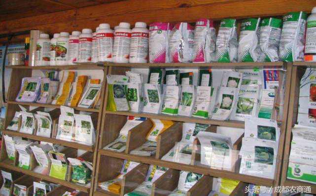 进口种子价格一览表,进口种子按粒卖