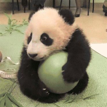 12306什么时候可以免费买票,铁路12306什么时候能买元旦车票