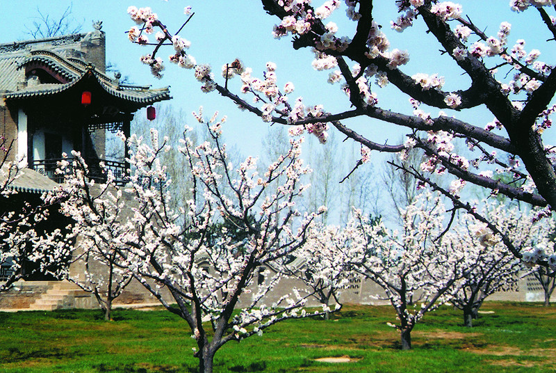 榆次常家庄园可以游玩多久,晋中常家庄园旅游攻略