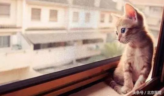 皮肤干痒导致红血丝怎么办,敏感泛红干痒红血丝