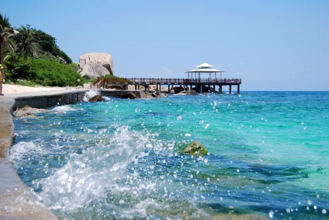 12306什么时候可以免费买票,铁路12306什么时候能买元旦车票