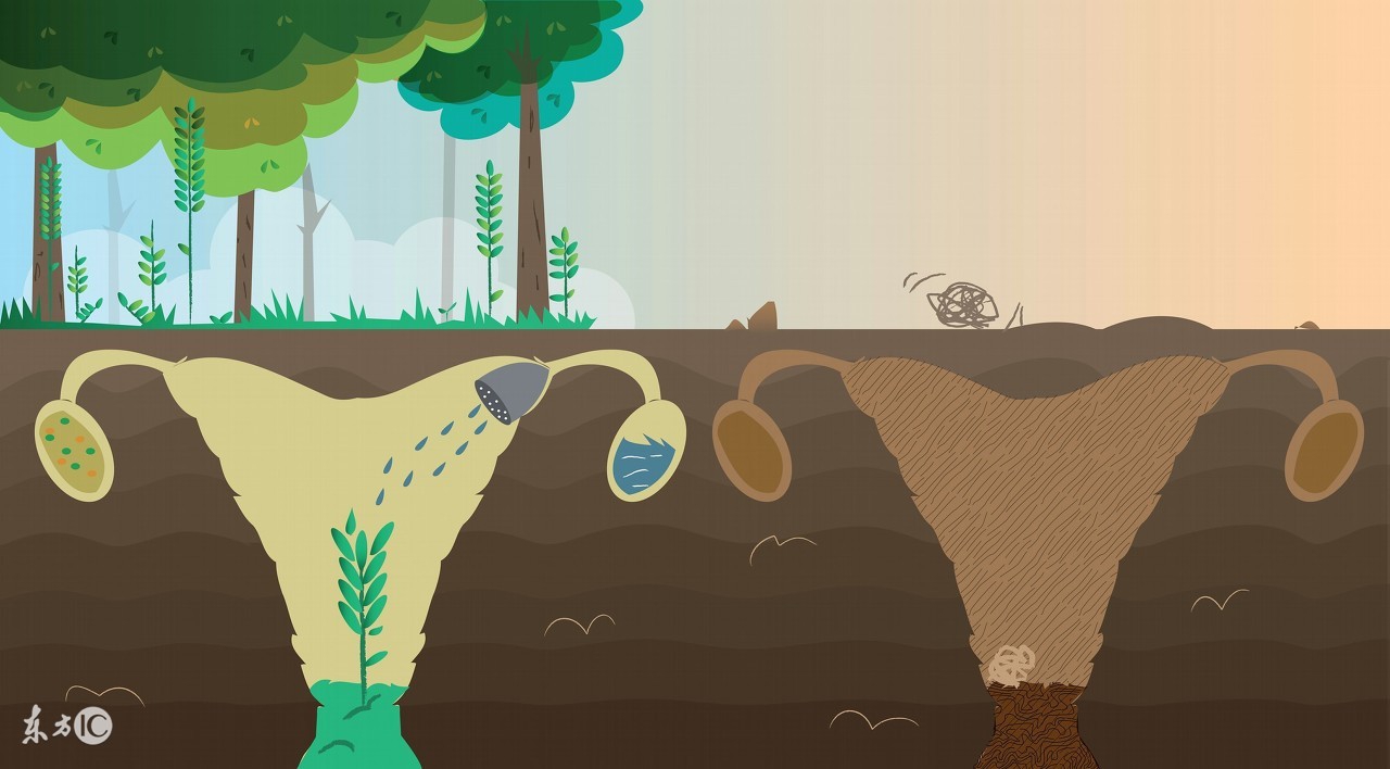 卵巢储备功能差如何正确备孕,卵巢储备功能下降会怀孕吗