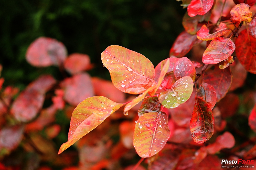 佳能eos800d摄影视频,相机初学者推荐佳能800d