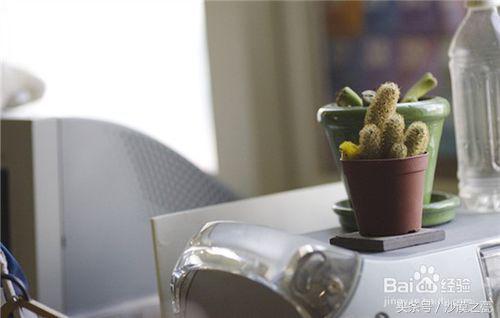 怎么样避免电脑辐射皮肤长痘,电脑辐射大如何避免长痘呢