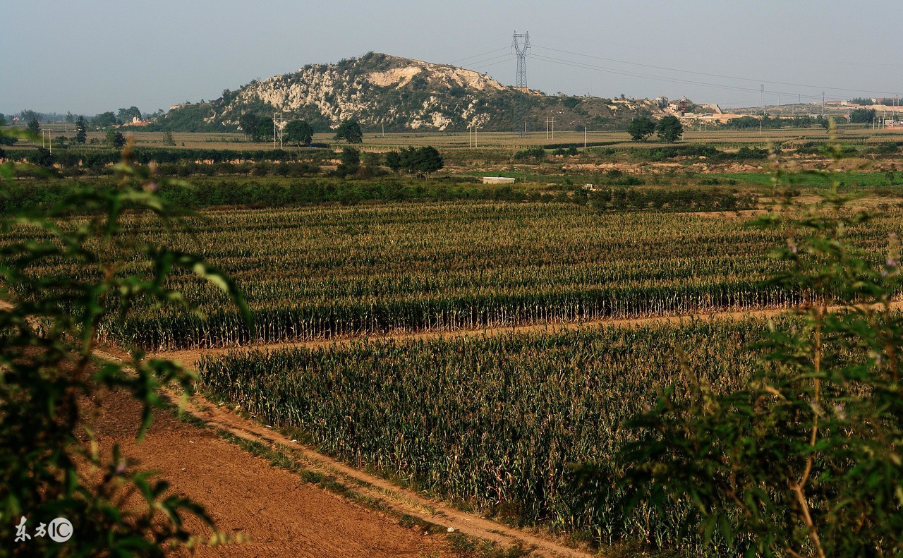 农民的承包地是否可以被村里征收,家庭承包土地村里能收费吗