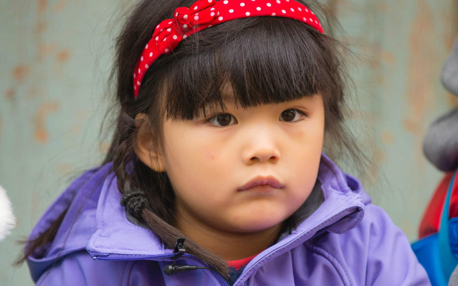 明星的小孩都在学什么,明星小孩都学的什么