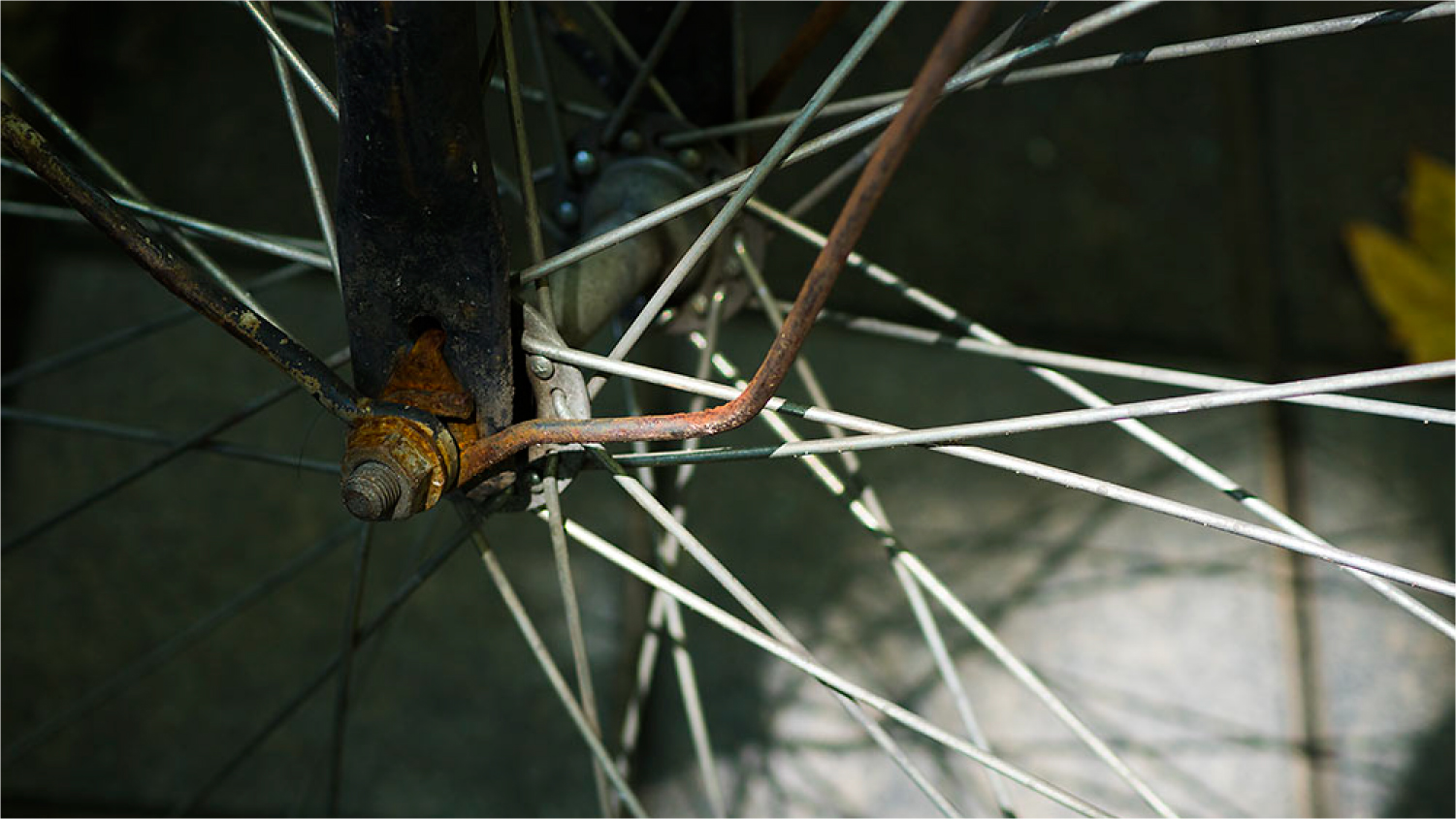 2017年底总结：这一年陪我走过的数码玩具们……