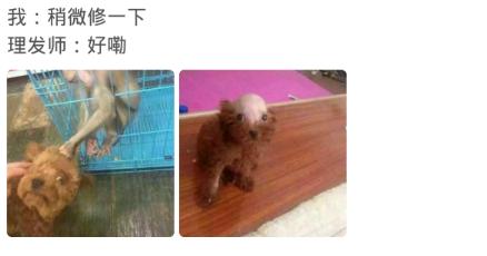 剪短发之后后悔了怎么办,剪完头发之后后悔了该怎么办