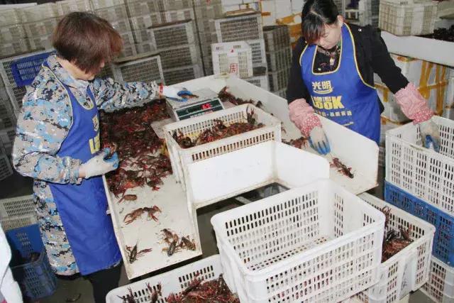 潜江潜网集团,潜江潜网电商培训在哪里