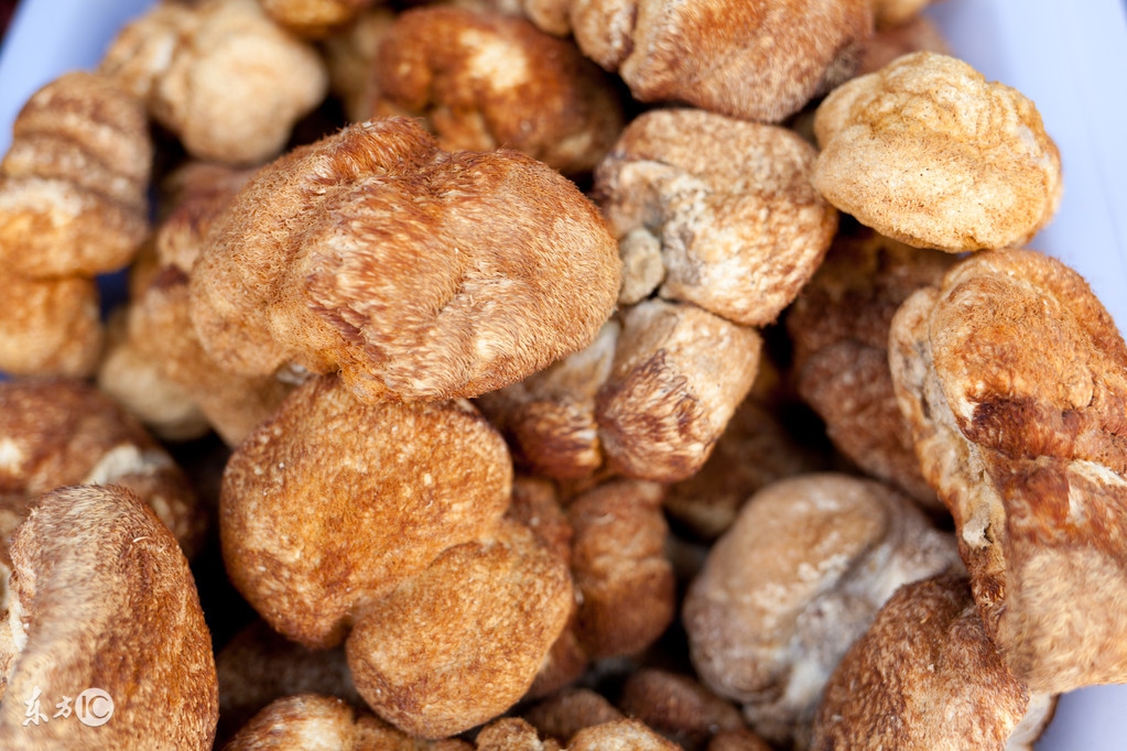 饭桌上的好物,公认最好吃的菌