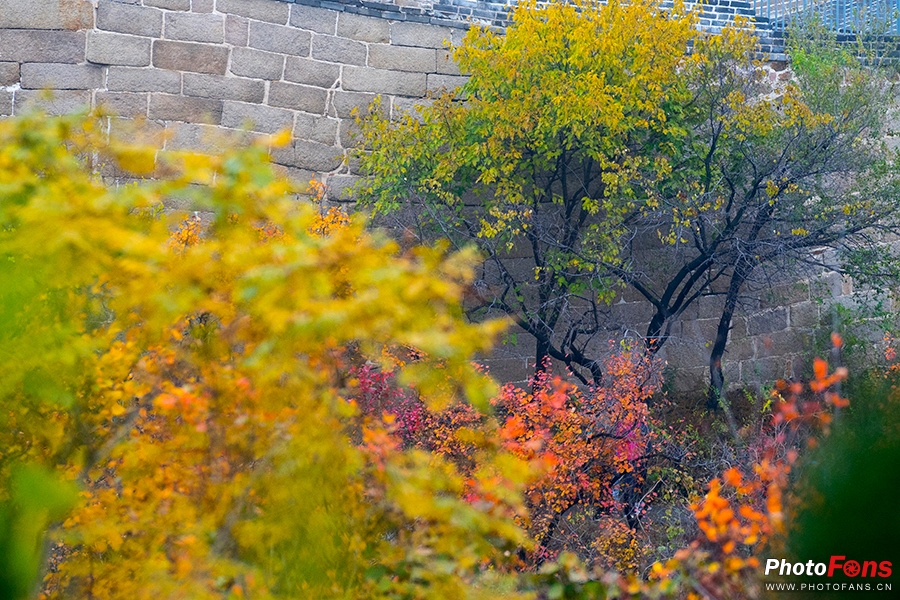 佳能eos800d摄影视频,相机初学者推荐佳能800d