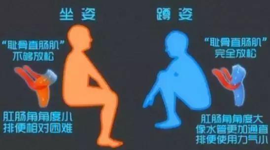 马桶潮湿更容易滋生细菌,家里马桶脏脏的都不想去了