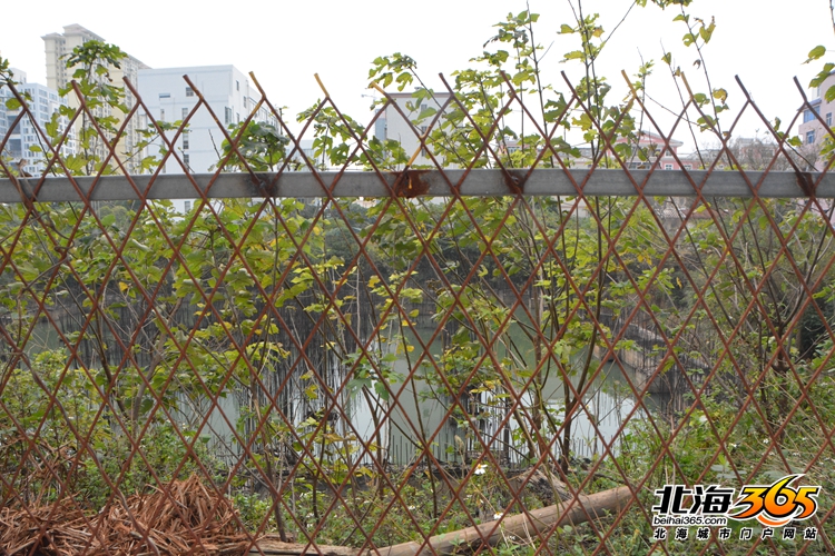 深度探秘:北海十大经典烂尾楼盘之前世今生