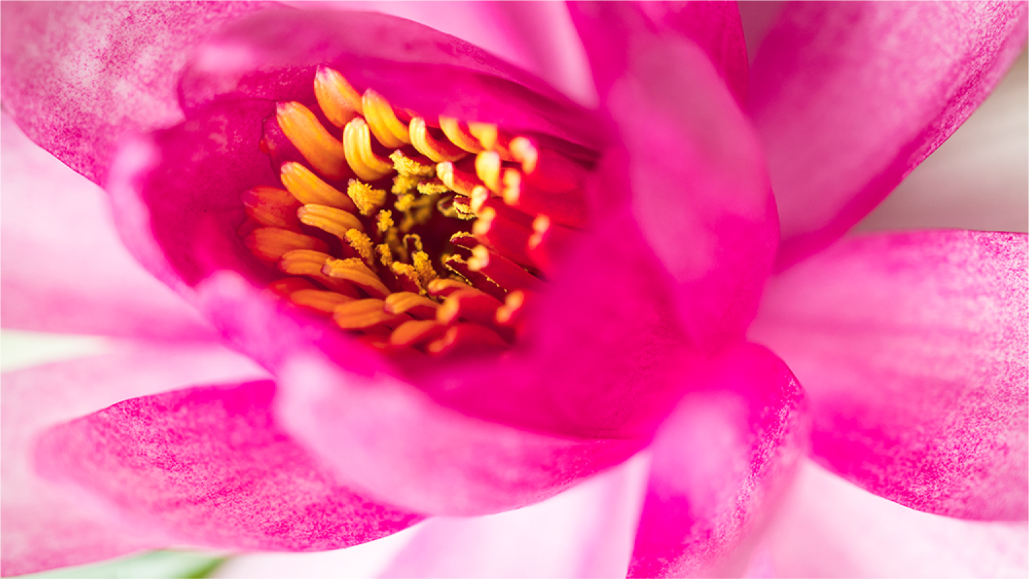 2017年底总结：这一年陪我走过的数码玩具们……