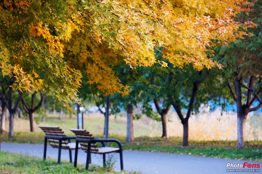 佳能eos800d摄影视频,相机初学者推荐佳能800d