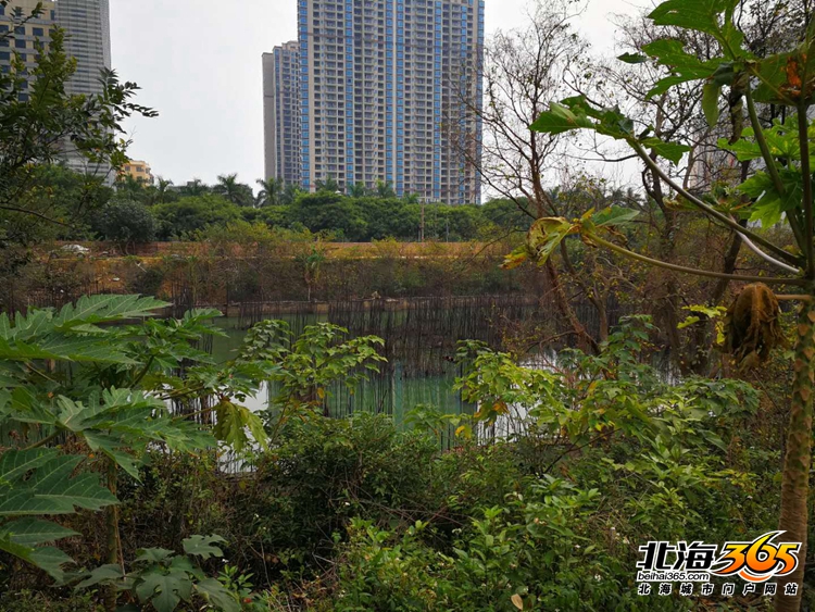 深度探秘:北海十大经典烂尾楼盘之前世今生