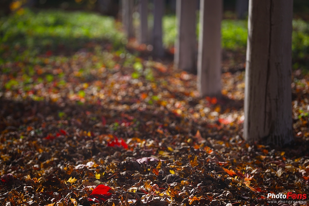 佳能eos800d摄影视频,相机初学者推荐佳能800d