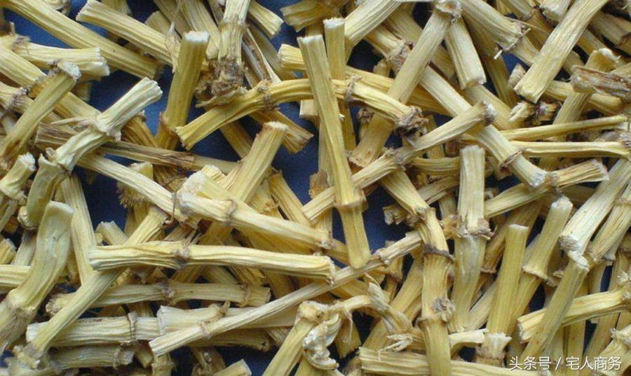 小孩尿血怎么食疗,尿血吃什么中药能快速治好