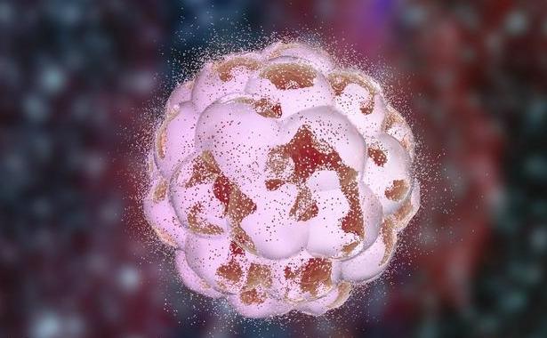 就医搜｜流产后难怀孕？别让流产为你的健康埋下“定时*弹炸**”！