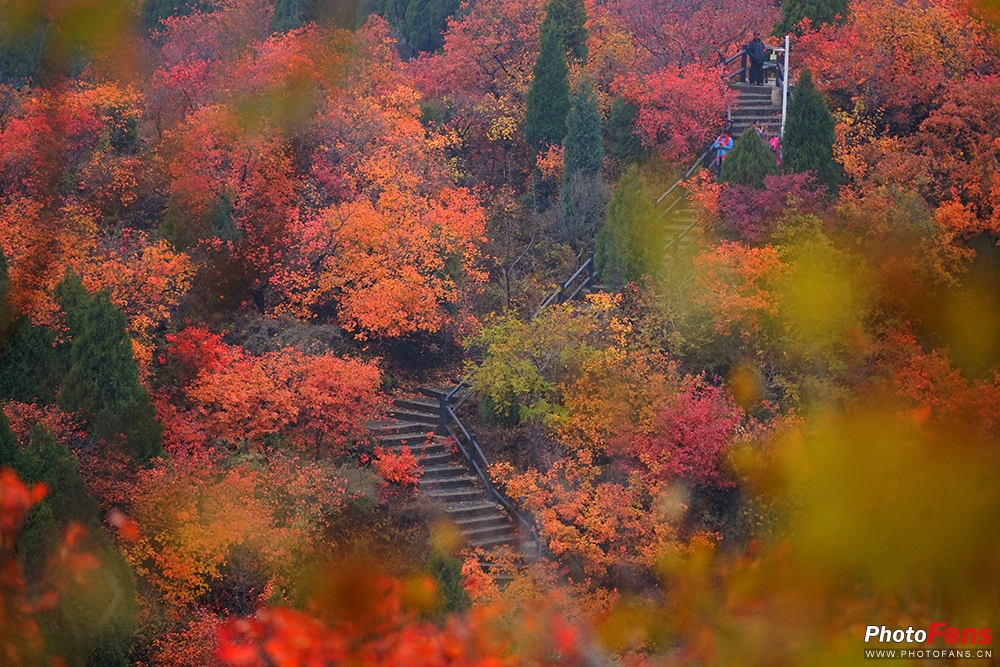 佳能eos800d摄影视频,相机初学者推荐佳能800d