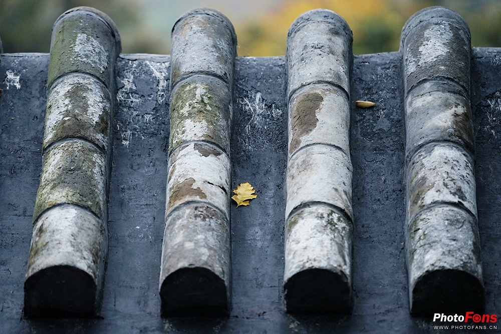 佳能eos800d摄影视频,相机初学者推荐佳能800d