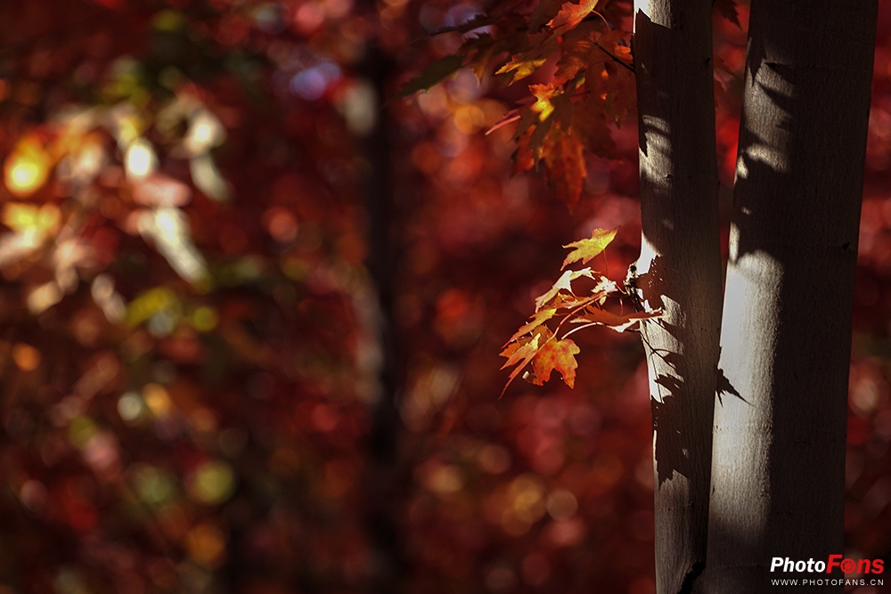 佳能eos800d摄影视频,相机初学者推荐佳能800d