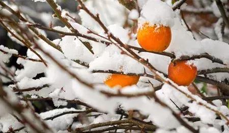 七年级英语第七单元测试卷答案,七年级上册英语第七单元grammar