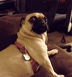 90后留学生独立创业,第一批90后出家佛系