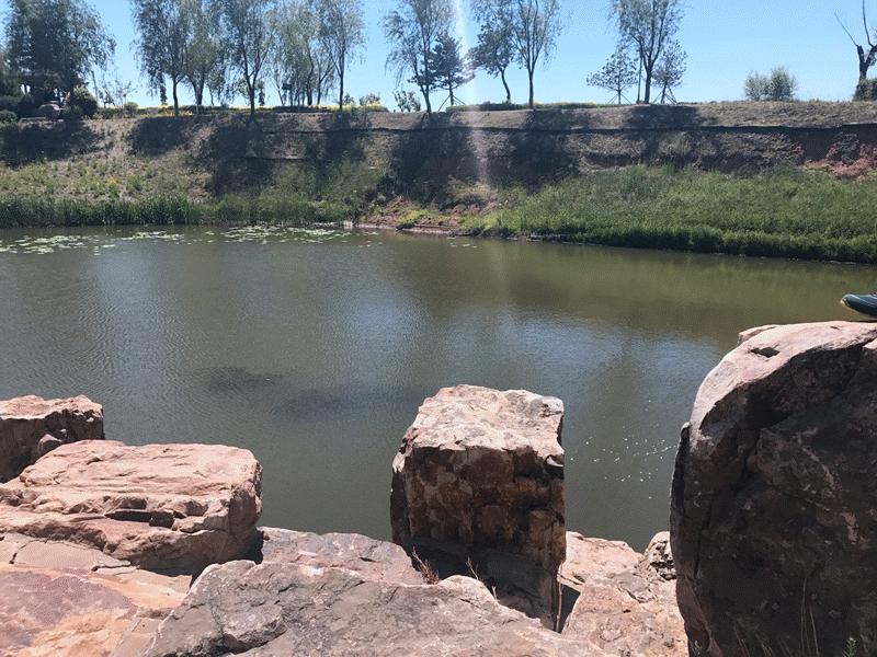 能翻山越岭也能走遍大江南北,能翻山越岭山海皆可平