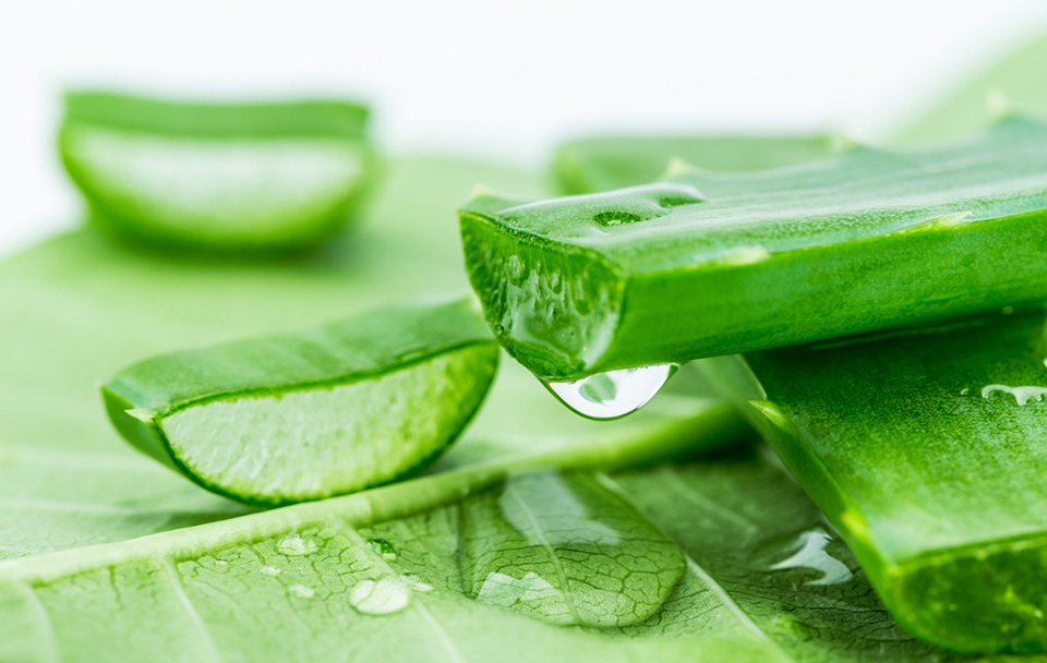 自然共和国芦荟胶怎么样？中国人“人气之王”火爆原因！