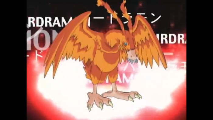 天马流星拳国漫,哪些动漫有天马流星拳