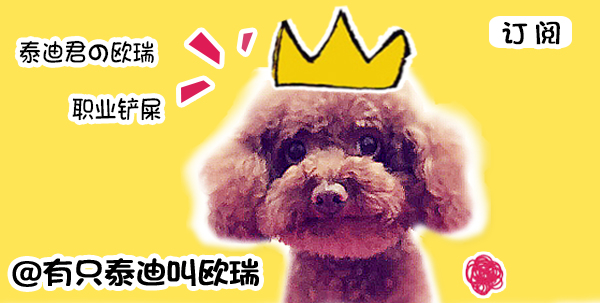 如果你厌倦猫咪平常的模样，就快点把它改造成爆笑的豆豆龙吧