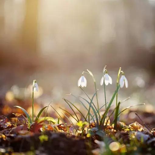 微问答丨“你给我闭嘴！”面对爱插嘴的孩子，你会怎么做？
