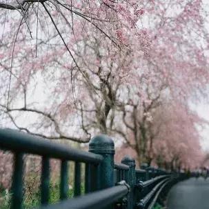 微问答丨“你给我闭嘴！”面对爱插嘴的孩子，你会怎么做？