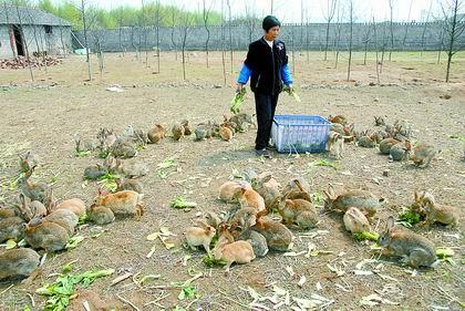 致富需要牺牲的十件事,致富经养鱼的失败经历