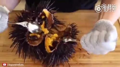 海胆能吃的部分是海胆的什么部位,吃海胆对男性的好处