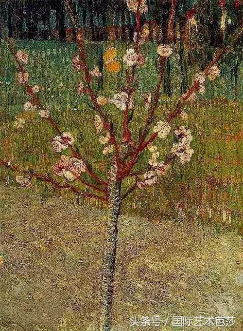 100多年后梵高的谜底终于揭晓,神秘博士穿越到梵高的时代