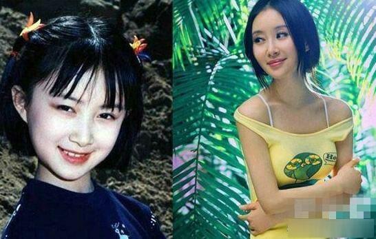 童星长大不红的原因,为什么好多童星长大后都没音了