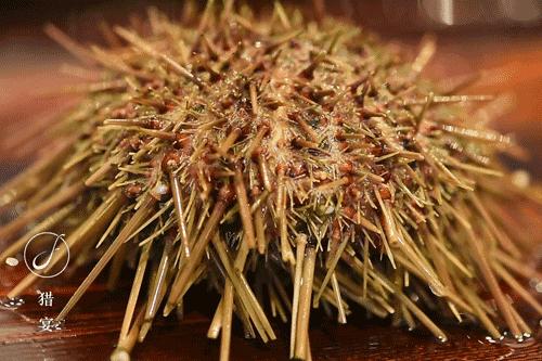 海胆能吃的部分是海胆的什么部位,吃海胆对男性的好处