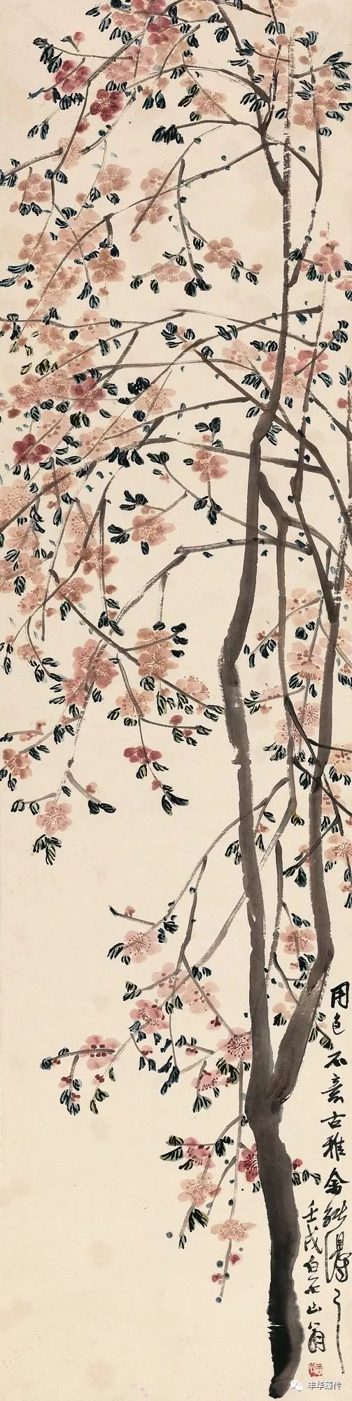 中国嘉德藏家回顾展,中国嘉德拍卖会过亿